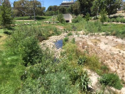 Renovated Park Re-Opens in Burbank