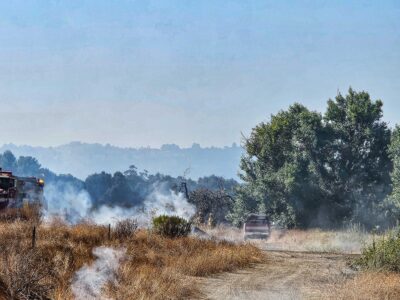 SFVAS Urges Action as Sepulveda Basin Fires Continue