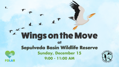 Wings on the Move Walk