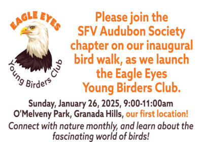 Eagle Eyes Young Birders Club