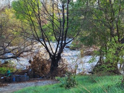 A Tribute to Melanie Winter