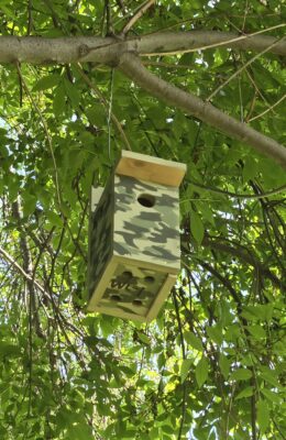 Team Davis Installs New Bluebird Nest Boxes at Woodley Lakes