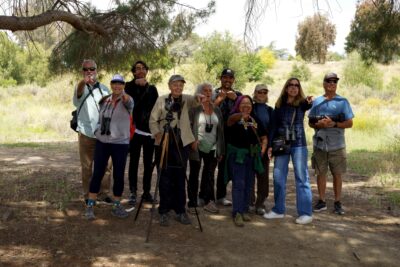 Extraordinary Hansen Dam Birdathon Birdwalk